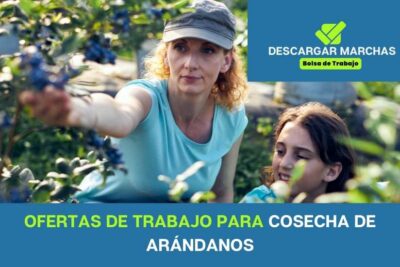 Ofertas de trabajo para cosecha de arándanos