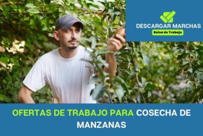 Ofertas de trabajo en cosecha de manzana