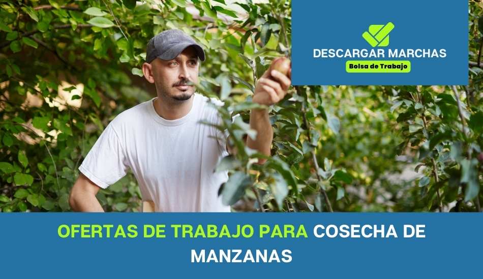 Ofertas de trabajo en cosecha de manzana