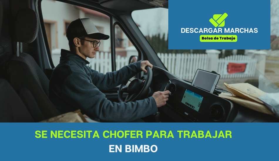SE NECESITA chofer para trabajar en Bimbo