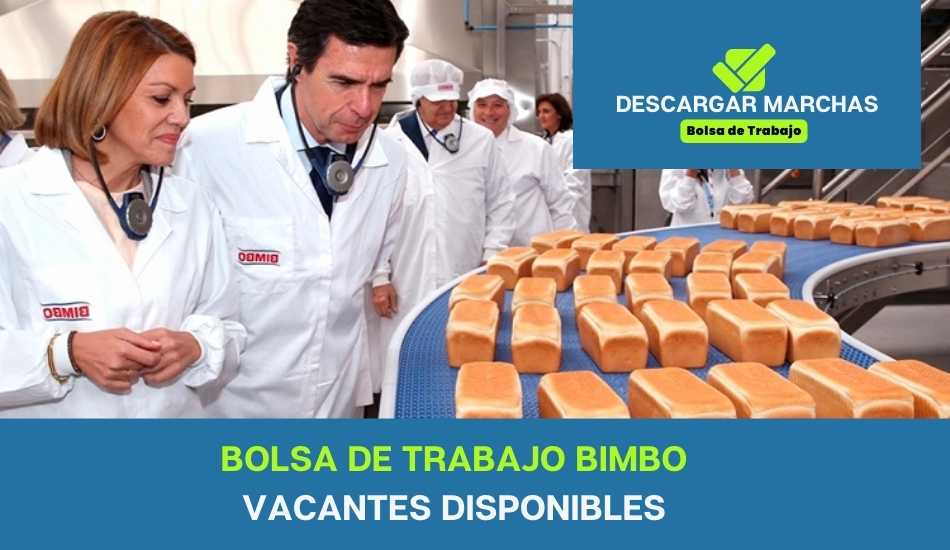 bolsa de trabajo bimbo