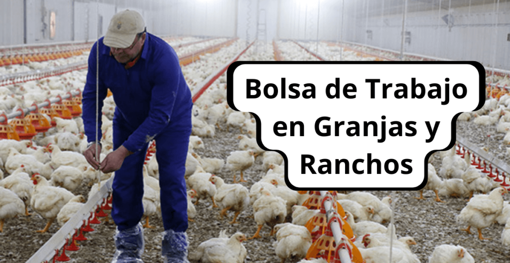 trabajo en granjas y ranchos