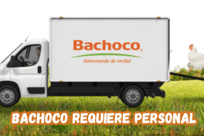 trabajos en bachoco