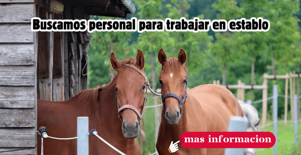 TRABAJO EN GRANJAS Y ESTABLOS
