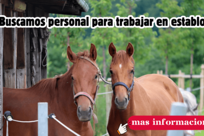 TRABAJO EN GRANJAS Y ESTABLOS